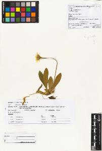 SW_BNB_s3070-01124_IMG-0000000001