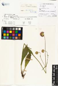 SW_BNB_s3070-01126_IMG-0000000001