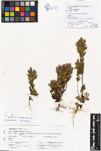 SW_BNB_s3070-01129_IMG-0000000001
