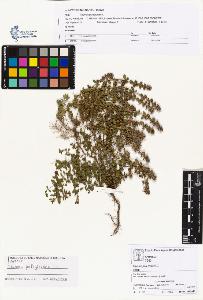 SW_BNB_s3070-01130_IMG-0000000001