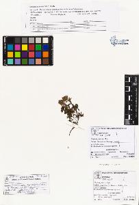 SW_BNB_s3070-01131_IMG-0000000001