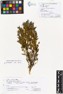 SW_BNB_s3070-01132_IMG-0000000001