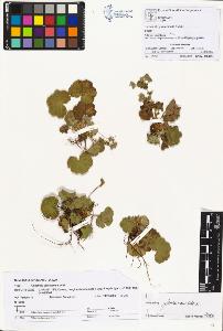 SW_BNB_s3070-01134_IMG-0000000001