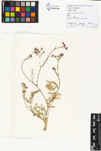 SW_BNB_s3070-01135_IMG-0000000001