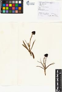 SW_BNB_s3070-01136_IMG-0000000001