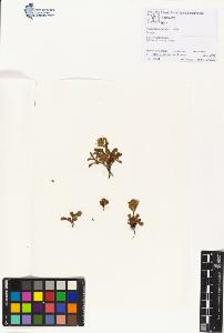 SW_BNB_s3070-01137_IMG-0000000001