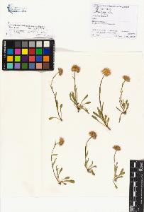 SW_BNB_s3070-01138_IMG-0000000001