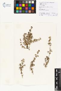 SW_BNB_s3070-01139_IMG-0000000001