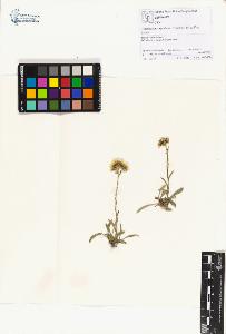 SW_BNB_s3070-01140_IMG-0000000001