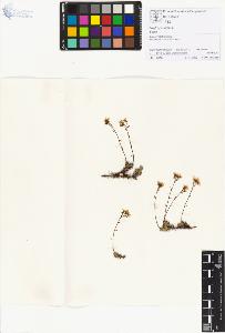 SW_BNB_s3070-01141_IMG-0000000001