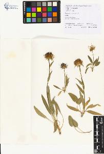 SW_BNB_s3070-01144_IMG-0000000001