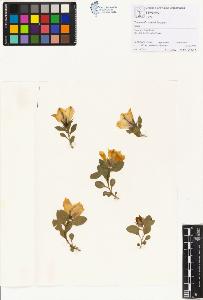 SW_BNB_s3070-01145_IMG-0000000001