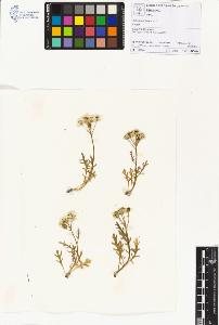 SW_BNB_s3070-01146_IMG-0000000001