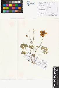 SW_BNB_s3070-01148_IMG-0000000001