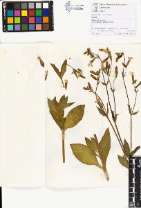 SW_BNB_s3070-01149_IMG-0000000001
