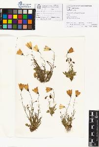 SW_BNB_s3070-01150_IMG-0000000001