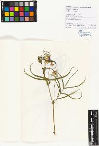 SW_BNB_s3070-01152_IMG-0000000001