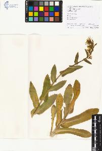 SW_BNB_s3070-01153_IMG-0000000001