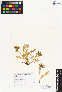 SW_BNB_s3070-01155_IMG-0000000001