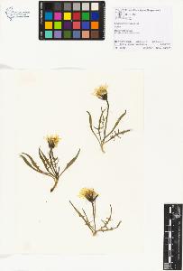 SW_BNB_s3070-01157_IMG-0000000001