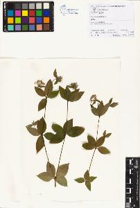 SW_BNB_s3070-01158_IMG-0000000001