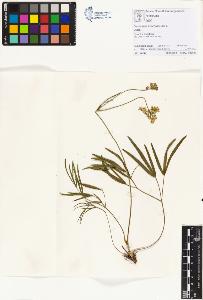 SW_BNB_s3070-01159_IMG-0000000001