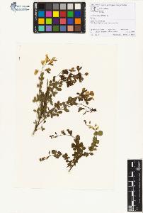 SW_BNB_s3070-01161_IMG-0000000001