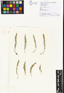 SW_BNB_s3070-01163_IMG-0000000001