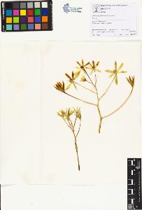 SW_BNB_s3070-01164_IMG-0000000001