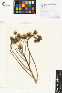SW_BNB_s3070-01166_IMG-0000000001
