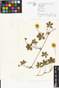 SW_BNB_s3070-01168_IMG-0000000001