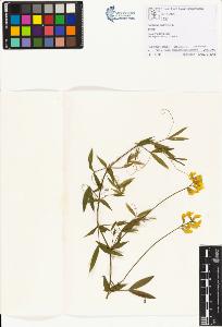 SW_BNB_s3070-01169_IMG-0000000001