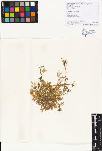 SW_BNB_s3070-01170_IMG-0000000001