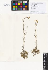 SW_BNB_s3070-01174_IMG-0000000001
