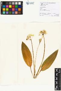 SW_BNB_s3070-01175_IMG-0000000001