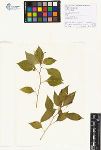 SW_BNB_s3070-01178_IMG-0000000001