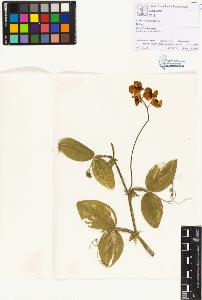 SW_BNB_s3070-01180_IMG-0000000001