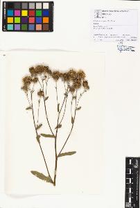 SW_BNB_s3070-01181_IMG-0000000001
