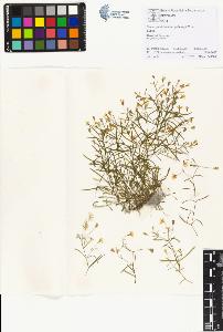 SW_BNB_s3070-01183_IMG-0000000001