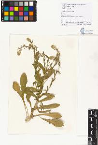 SW_BNB_s3070-01184_IMG-0000000001