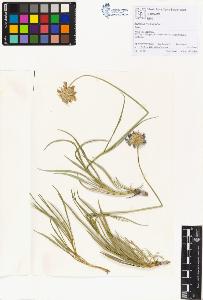 SW_BNB_s3070-01185_IMG-0000000001
