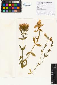 SW_BNB_s3070-01186_IMG-0000000001