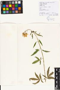 SW_BNB_s3070-01188_IMG-0000000001
