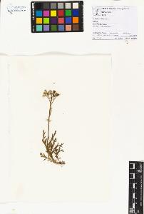 SW_BNB_s3070-01189_IMG-0000000001