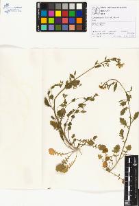 SW_BNB_s3070-01191_IMG-0000000001
