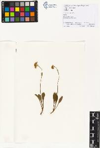 SW_BNB_s3070-01193_IMG-0000000001