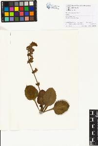 SW_BNB_s3070-01194_IMG-0000000001