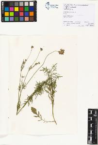 SW_BNB_s3070-01195_IMG-0000000001