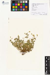 SW_BNB_s3070-01197_IMG-0000000001