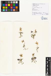 SW_BNB_s3070-01198_IMG-0000000001